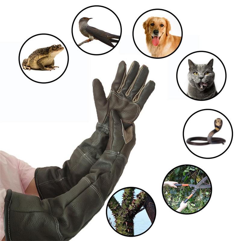 Перчатки из воловьей кожи для  – обзор и цена Pet Grooming Glove