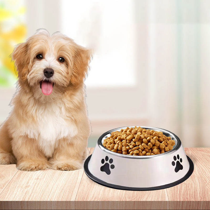 Миска для животных из нержавею – обзор и цена Pet Supplies Plus