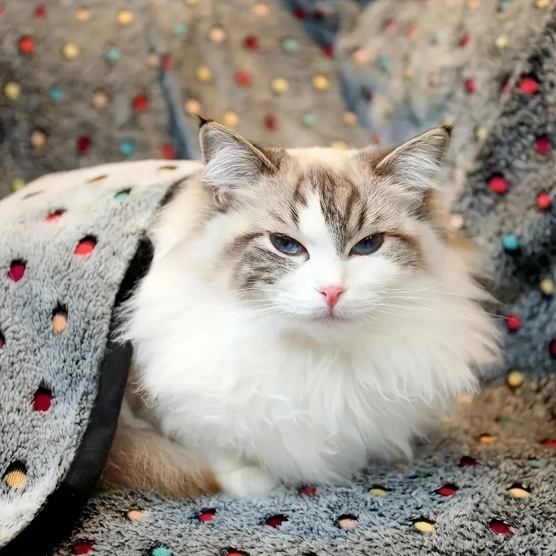3 шт. мягкое пушистое одеяло д – обзор и цена Pet Supplies Plus